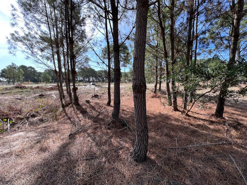 Imagen 6 de 12 de Venta Terreno Lomas De Solymar Canelones