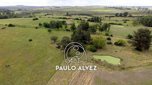 Chacras-venta-pan-de-azucar-ch036