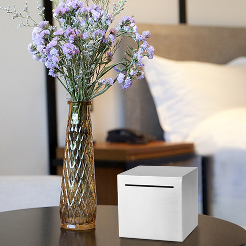 Large Amount Savings Box Hucha Adulto Caja Fuerte 12*12cm Color Plateado