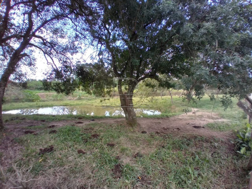 Imagem 15 de 15 de Sitio - Recanto Verde - Ref: 34104 - V-34101
