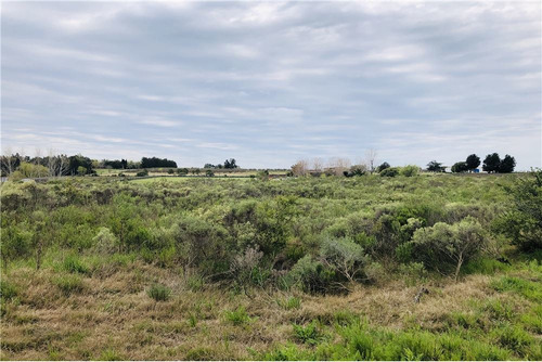 Venta De Campo Melilla , Camino Sere, Zona Chacras