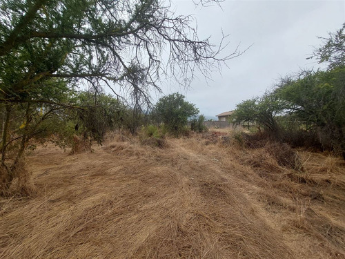 Terreno 5065 Paradero 8 Los Maitenes Limache