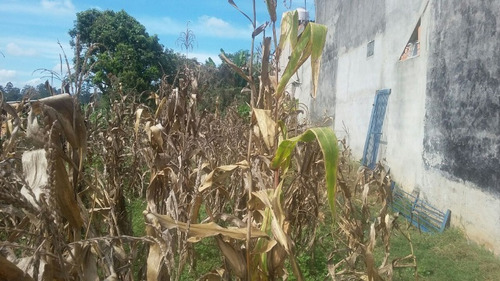 Imagem 5 de 7 de Terreno - Te97493 - 32424496
