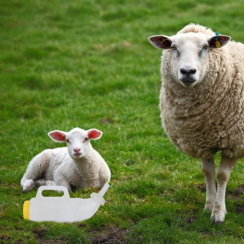 Alimentador De Leche De Cabra Para Bebés, Biberón Grueso Par