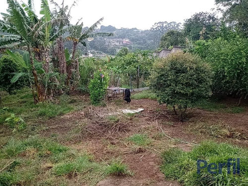 Imagem 3 de 5 de Terrenos - Urbano - 2521