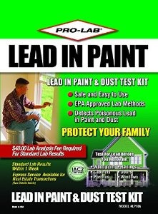 Laboratorio Profesional # Lp106 Pro Paint / Polvo Kit Plomo