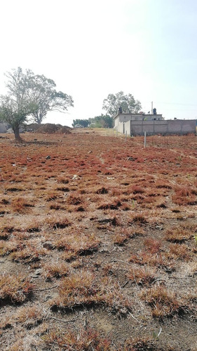 Imagen 5 de 6 de En Venta Amplio Terreno En Col. Los Cerritos En Atlatlahucan Morelos Sobre Carretera