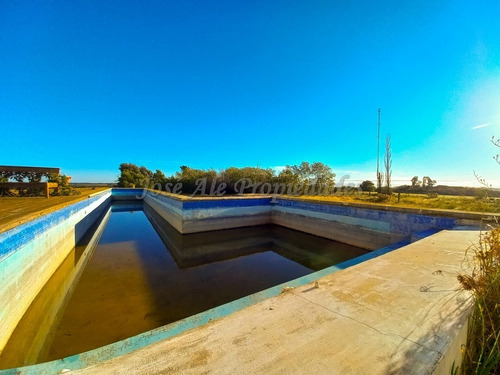 Imagen 4 de 14 de En Venta - Chacra En Colonia De Sacramento