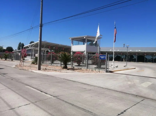 Venta Terreno 5.000 M2 Entrada Linares. Tiene 4 Roles