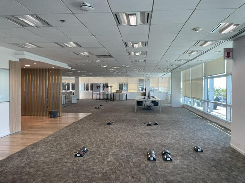 Oficinas En Alquiler | Colonos Plaza, Juana Manso 305-355, Puerto Madero, Caba | 1.461 M²