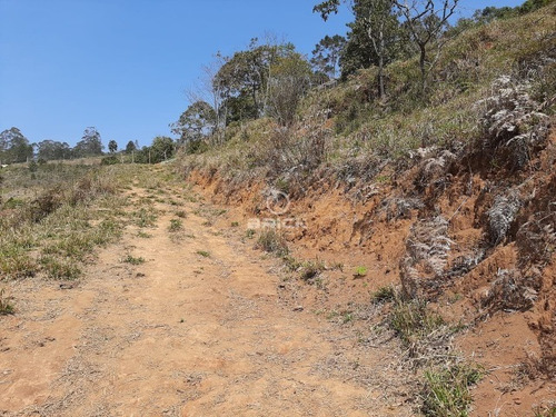 Imagem 9 de 12 de Terreno Com 1.000 M² Em Albuquerque. - Te00349 - 68718912