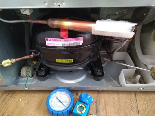 Imagen 6 de 10 de Service Heladeras Side By Side Samsung Y LG Inverter