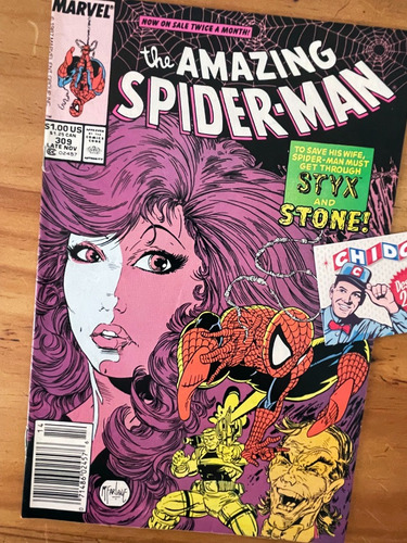 Comic - Amazing Spider-man #309 Todd Mcfarlane Mary Jane
