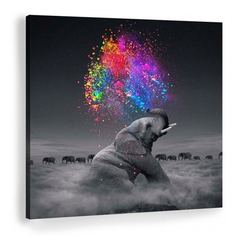 Imagen 1 de 8 de Cuadro Elefante Colores Moderno En Lienzo Canvas Envío Gratis Tintas Ecológicas No Sintético Opcional Marco