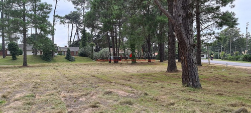 Imagen 1 de 4 de Oportunidad Terreno A La Venta... - Punta Del Este Country