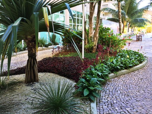 Imagem 13 de 17 de Apartamento - 467 - 69922890