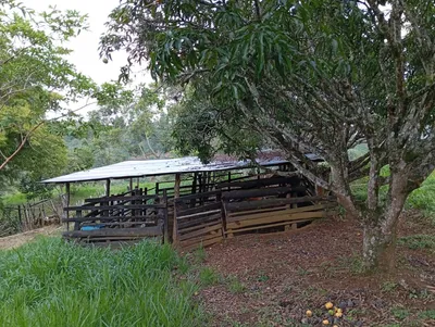 Finca en venta