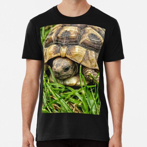 Remera Fotografía De Tortugas Del Bosque. Algodon Premium