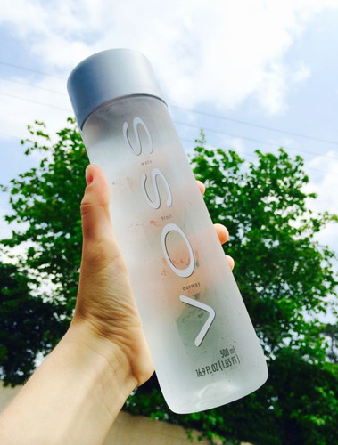 Agua Natural De Manantial Voss 24 Botellas 500ml. Artesiana