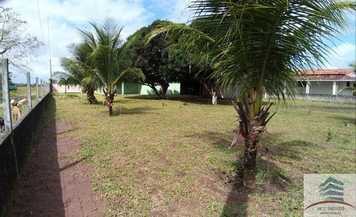 Imagem 3 de 19 de Granja A Venda São Gonçalo Do Amarante