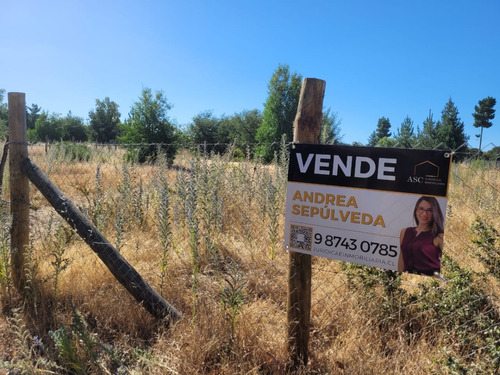 Parcela De Agrado, Km 18 Camino María Dolores.