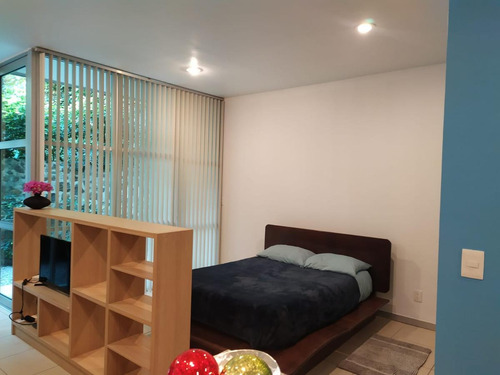 Imagen 8 de 29 de Renta Departamento En Planta Baja Con Internet Loft Triumph Tower