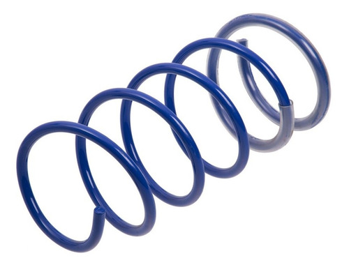 Espirales Progresivos Renault 9 Ag Kit X 2 Delanteros
