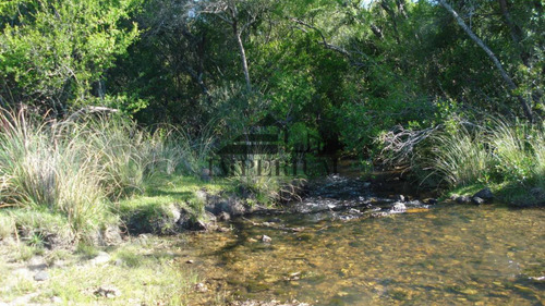 Venta, Campo 98 Hectáreas En Sierras De Carapé