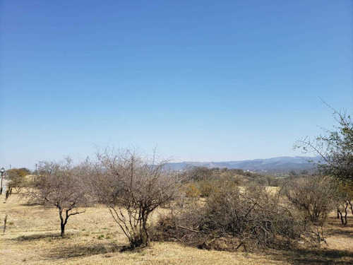 Imagen 11 de 12 de Terreno Venta El Terron Mendiolaza
