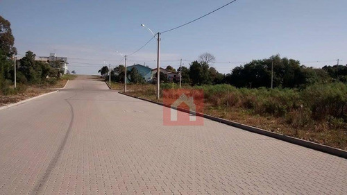 Imagem 9 de 13 de Terreno À Venda, 377 M² Por R$ 142.000,00 - Santa Catarina - Farroupilha/rs - Te0029