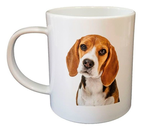 Taza De Plastico Perro Beagle Mirando Curioso