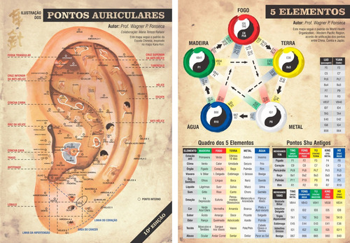 Mapa Acupuntura Pontos Auricular + Mapa 5 Elementos 