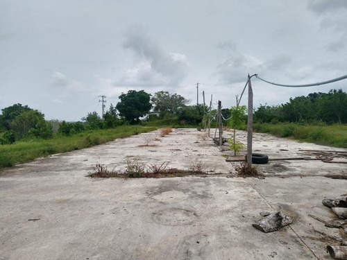 Venta Rancho 109 Has Autopista A Tampico En Tamiahua Veracruz