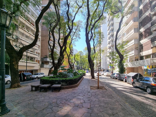 Imagen 15 de 16 de Departamento De 2 Ambientes En Las Cañitas Reciclado - Boulevard Olleros
