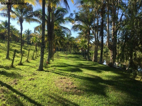 Imagem 7 de 19 de Fazenda - A Venda - Amparo - Fa00001 - 69257207