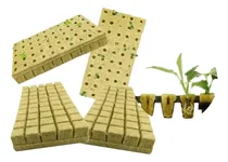 Comprar Cubos  Lana De Roca Para Germinación Hidroponica 20 Piezas