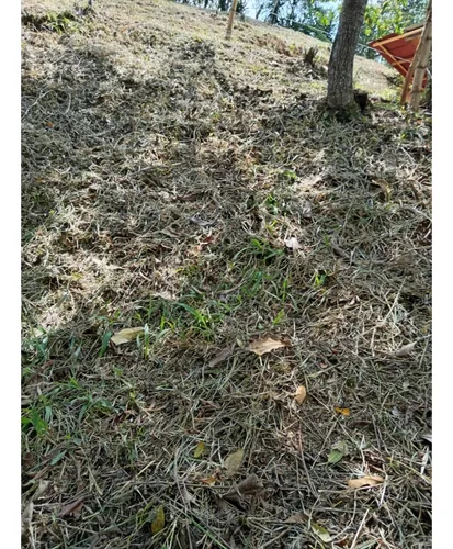 Venta Lote Campestre De 500 Mts2 En La Buitrera 13005-1.