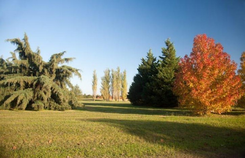 Imagen 2 de 7 de Venta De Lote En Chacras La Primavera Golf Club -lujan.