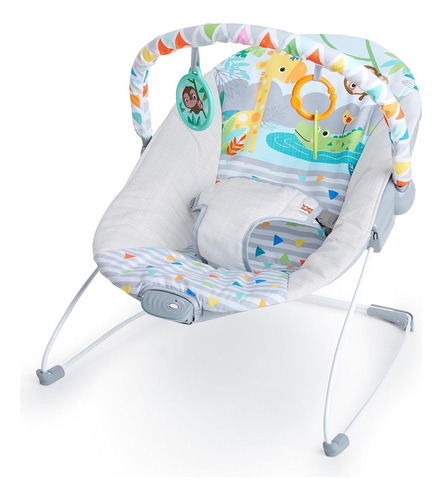 Silla Mecedora Vibradora Para Bebé Bouncer Bright Starts 