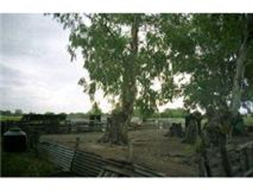 Imagen 6 de 12 de Campo Con Casa En Las Flores ,7 Hectarias,sojero