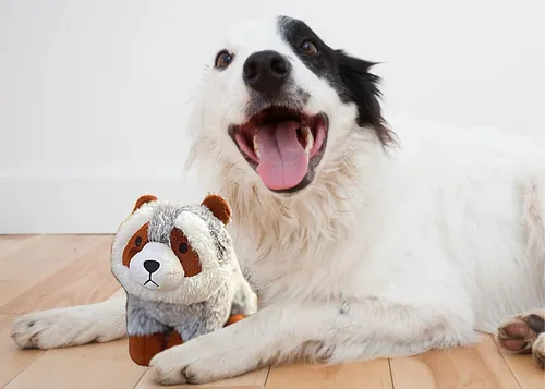 Scout & Friends Juguete Masticable De Mapache 2 En 1 Para P.