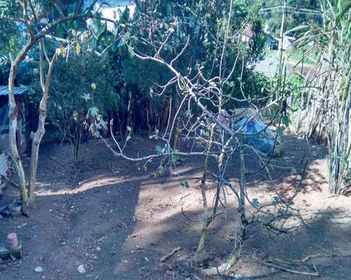 Imagem 6 de 20 de Chácara À Venda Em Juquitiba; - 279 - 32982630