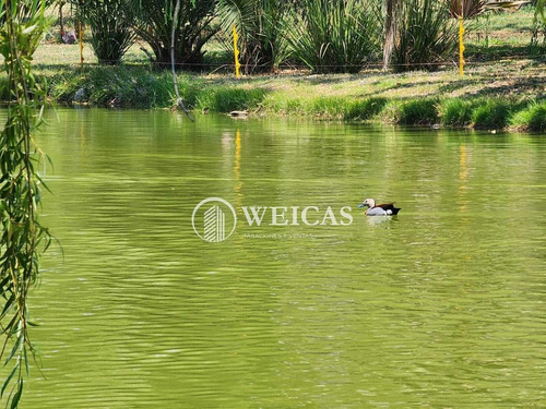 Imagen 13 de 26 de Oportunidad Venta De Lote 820 Mts Country Boca Ratón
