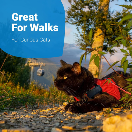 Tractive Gps Cat 4 - Arnés De Rastreador Para Paseos De Gato