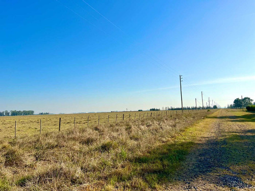 Imagen 15 de 20 de Venta Chacra 15 Hectareas Cañuelas Buenos Aires