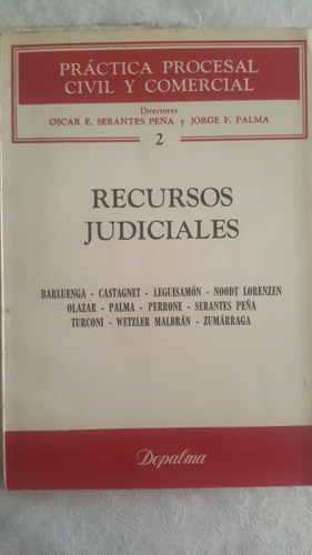 Recursos Judiciales. Serantes Peña