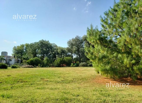 Hermoso Lote/terreno - Lomas De San Antonio