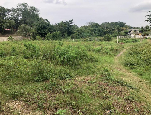 Imagen 3 de 14 de Terreno - San Juan Bautista Tuxtepec