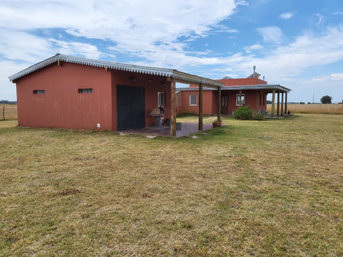 Chacra 1 Ha, En Monte. Propiedad Ppal Y Otra Con Calidad Habitacional