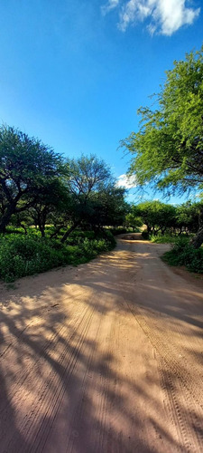 Terrenos En Cabildo-jujuy-catamarca-saavedra, Toay